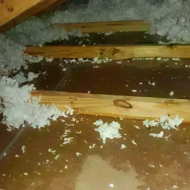 Attic Water Damage in Stroud, OK