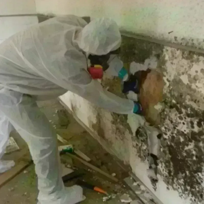 Mold Remediation and Removal in Stroud, OK