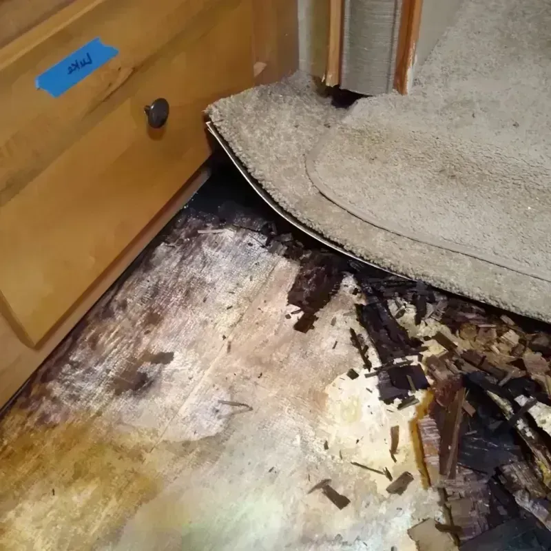 Wood Floor Water Damage in Stroud, OK